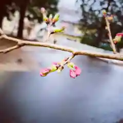 滑川神社 - 仕事と子どもの守り神の自然