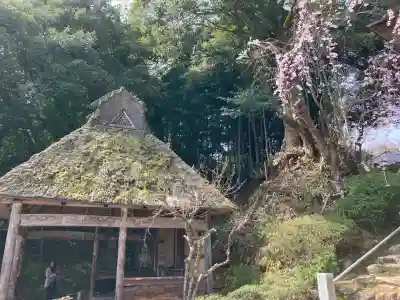 妙成寺の{uncategorized: "未分類", other: "その他", undefined: "問題あり", building: "その他建物", grave: "お墓", sacred_gate: "鳥居", guardian: "狛犬", statue: "像", buddha: "仏像", history: "歴史", nature: "自然", garden: "庭園", animal: "動物", pagoda: "塔", temizu: "手水舎", mountain_gate: "山門・神門", sanctuary: "本殿・本堂", subordinate: "末社・摂社", art: "芸術", scenery: "景色", jizo: "地蔵", ema: "絵馬", goshuin: "御朱印", omikuji: "おみくじ", items: "授与品その他", amulet: "お守り", goshuincho: "御朱印帳", eats: "食事", festival: "お祭り", votive_dance: "神楽", shichigosan: "七五三参", wedding: "結婚式", experience: "体験その他", initially: "初詣", around: "周辺", anti_infection: "感染症対策"}