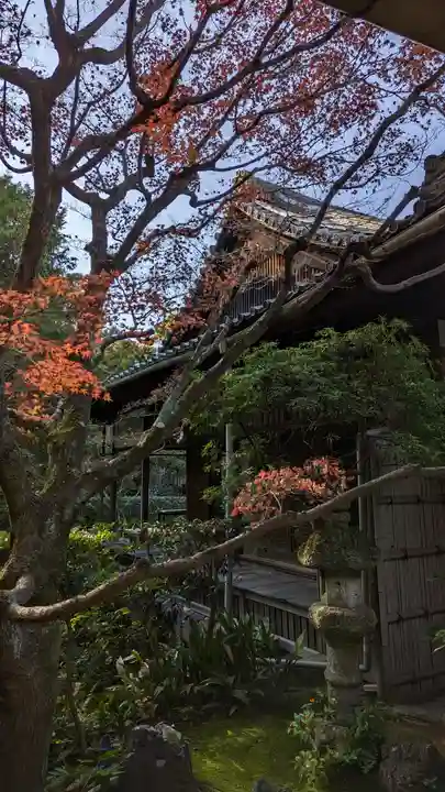 桂春院(京都府)