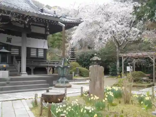 安國論寺（安国論寺）の景色