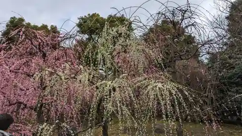城南宮(京都府)