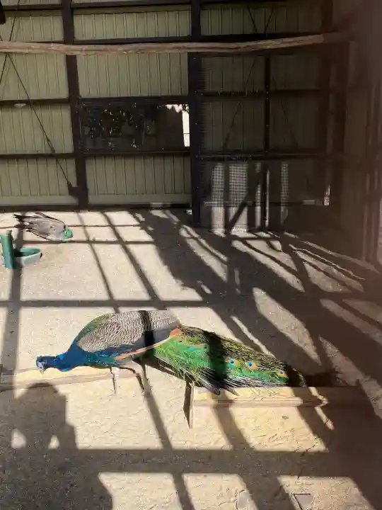 岩槻久伊豆神社の{uncategorized: "未分類", other: "その他", undefined: "問題あり", building: "その他建物", grave: "お墓", sacred_gate: "鳥居", guardian: "狛犬", statue: "像", buddha: "仏像", history: "歴史", nature: "自然", garden: "庭園", animal: "動物", pagoda: "塔", temizu: "手水舎", mountain_gate: "山門・神門", sanctuary: "本殿・本堂", subordinate: "末社・摂社", art: "芸術", scenery: "景色", jizo: "地蔵", ema: "絵馬", goshuin: "御朱印", omikuji: "おみくじ", items: "授与品その他", amulet: "お守り", goshuincho: "御朱印帳", eats: "食事", festival: "お祭り", votive_dance: "神楽", shichigosan: "七五三参", wedding: "結婚式", experience: "体験その他", initially: "初詣", around: "周辺", anti_infection: "感染症対策"}