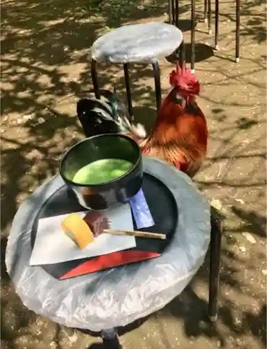 谷保天満宮の動物