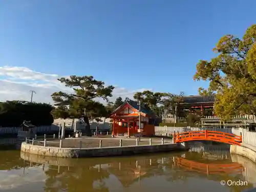 百舌鳥八幡宮(大阪府)
