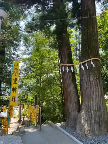 聖神社(埼玉県)