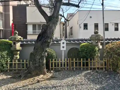 金乗院(目白不動尊)(東京都)