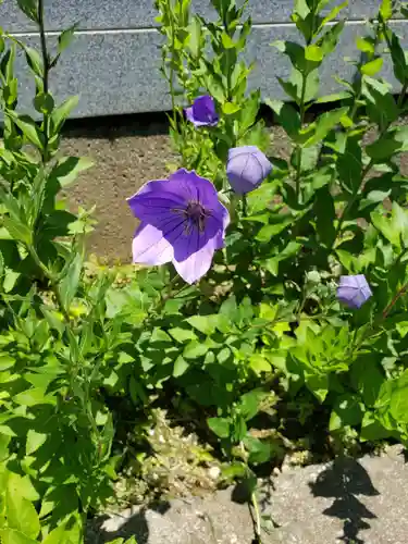 五位荘神社の自然