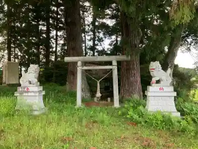土屋箒根神社の鳥居