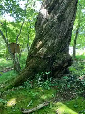 高房神社　上社(栃木県)