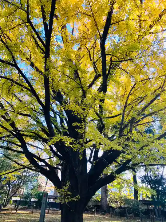 西念寺(茨城県)