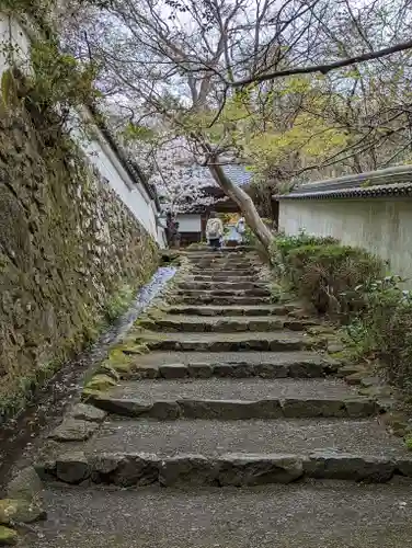 勝持寺（花の寺）(京都府)