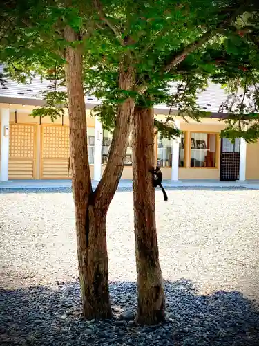音更神社の動物
