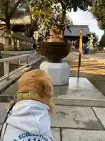 星宮神社のその他建物