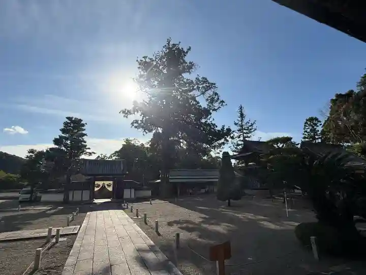 興国寺(和歌山県)