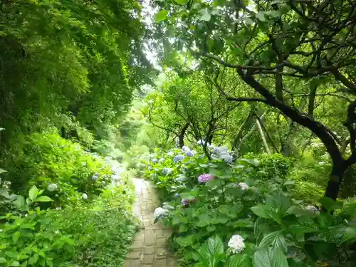 瑞泉寺の庭園