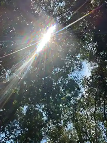 伊勢神宮内宮（皇大神宮）(三重県)