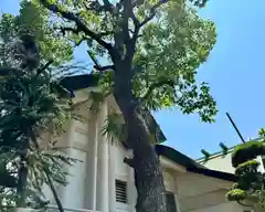 神明神社(大阪府)