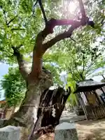 阿邪訶根神社の庭園