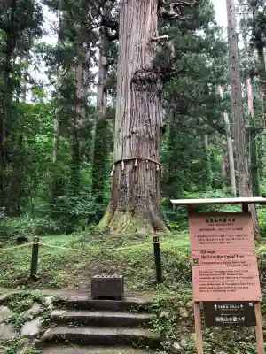 羽黒山五重塔(出羽三山神社)(山形県)
