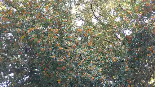冠稲荷神社(群馬県)