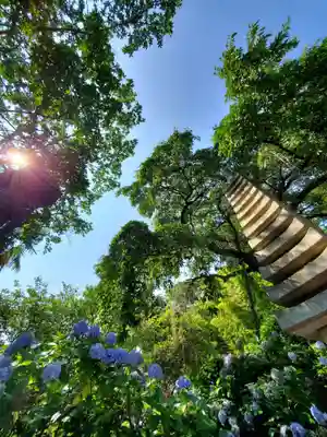 上合寺(福島県)