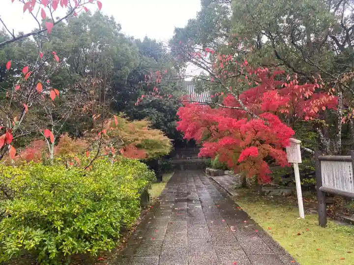 太山寺(兵庫県)
