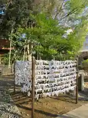 市谷亀岡八幡宮のおみくじ