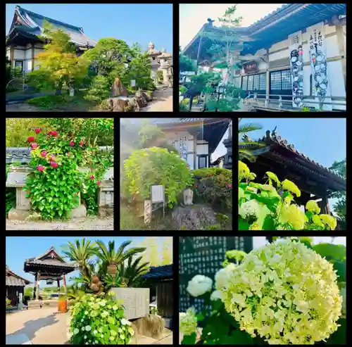 朝日寺のその他建物