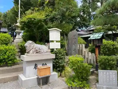 羊神社の狛犬