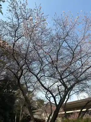 熱田神宮の{uncategorized: "未分類", other: "その他", undefined: "問題あり", building: "その他建物", grave: "お墓", sacred_gate: "鳥居", guardian: "狛犬", statue: "像", buddha: "仏像", history: "歴史", nature: "自然", garden: "庭園", animal: "動物", pagoda: "塔", temizu: "手水舎", mountain_gate: "山門・神門", sanctuary: "本殿・本堂", subordinate: "末社・摂社", art: "芸術", scenery: "景色", jizo: "地蔵", ema: "絵馬", goshuin: "御朱印", omikuji: "おみくじ", items: "授与品その他", amulet: "お守り", goshuincho: "御朱印帳", eats: "食事", festival: "お祭り", votive_dance: "神楽", shichigosan: "七五三参", wedding: "結婚式", experience: "体験その他", initially: "初詣", around: "周辺", anti_infection: "感染症対策"}