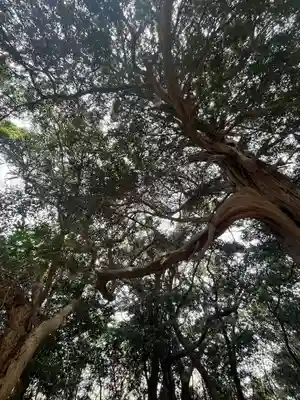 海上八幡宮(千葉県)