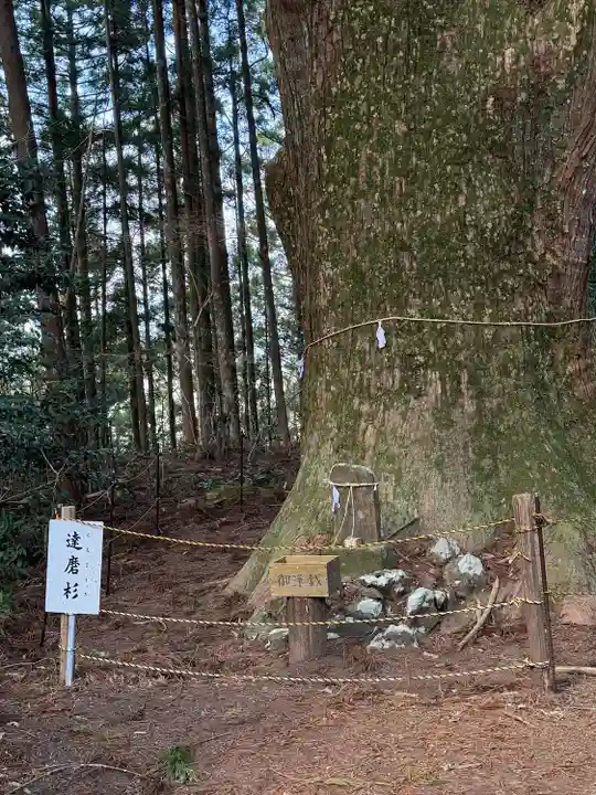 智満寺(静岡県)