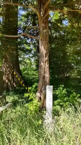 興国神社のその他建物