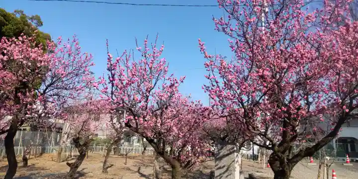 上野天満宮(愛知県)