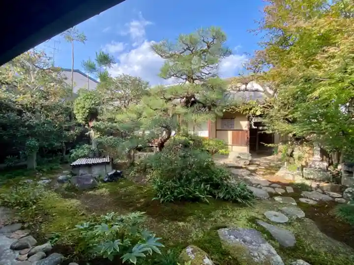 金臺寺(金台寺)の庭園