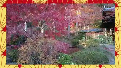 崇禅寺(群馬県)