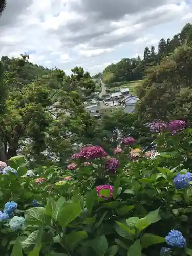 柳谷観音　楊谷寺の景色