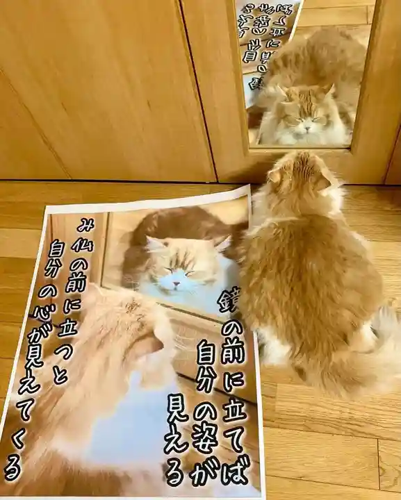 西教寺(下松駅徒歩5分)(山口県)