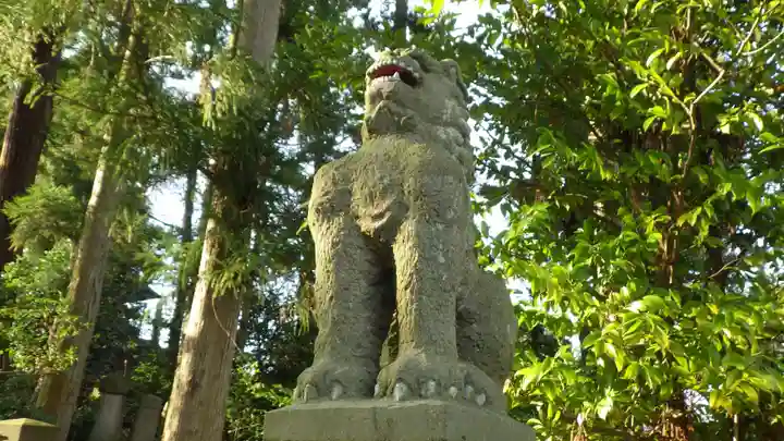 豊景神社の狛犬