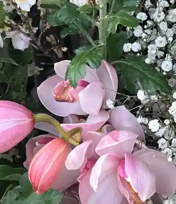 上尾御嶽神社(埼玉県)