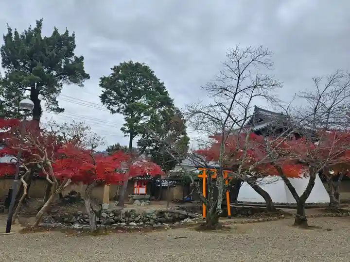 新薬師寺(奈良県)