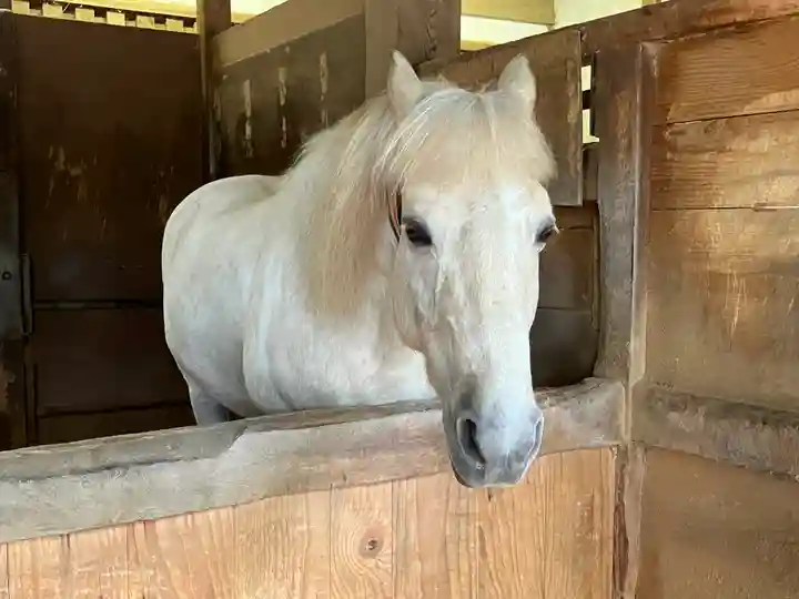 金刀比羅宮(香川県)