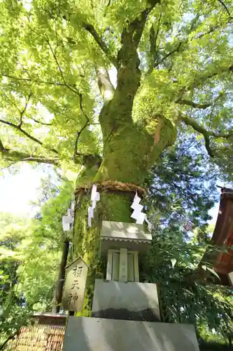武田神社(山梨県)