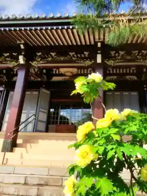 圓照寺(東京都)