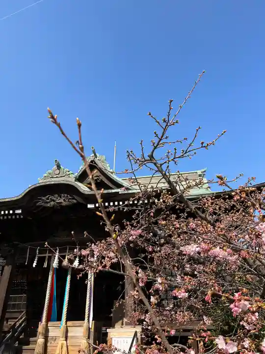 桜神宮の本殿・本堂