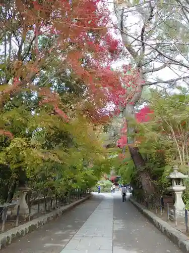 宇治上神社のその他建物