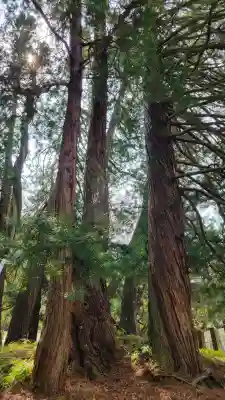 玉桂寺の{uncategorized: "未分類", other: "その他", undefined: "問題あり", building: "その他建物", grave: "お墓", sacred_gate: "鳥居", guardian: "狛犬", statue: "像", buddha: "仏像", history: "歴史", nature: "自然", garden: "庭園", animal: "動物", pagoda: "塔", temizu: "手水舎", mountain_gate: "山門・神門", sanctuary: "本殿・本堂", subordinate: "末社・摂社", art: "芸術", scenery: "景色", jizo: "地蔵", ema: "絵馬", goshuin: "御朱印", omikuji: "おみくじ", items: "授与品その他", amulet: "お守り", goshuincho: "御朱印帳", eats: "食事", festival: "お祭り", votive_dance: "神楽", shichigosan: "七五三参", wedding: "結婚式", experience: "体験その他", initially: "初詣", around: "周辺", anti_infection: "感染症対策"}