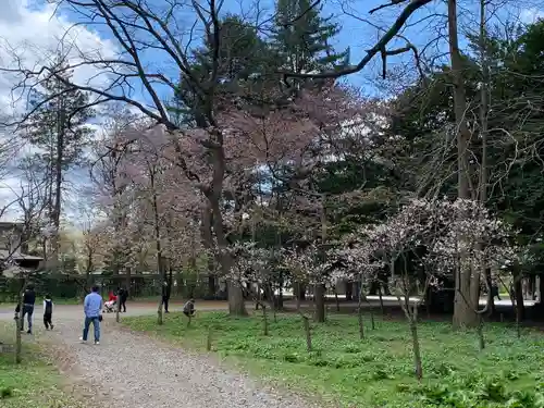 帯廣神社の自然