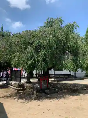 天沼稲荷神社(群馬県)