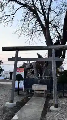 一本栗地主神社(北海道)